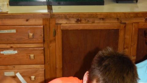 Camper uses food coloring durig a craft.