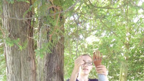 Two youth reach up to feel the leaves of a tree.
