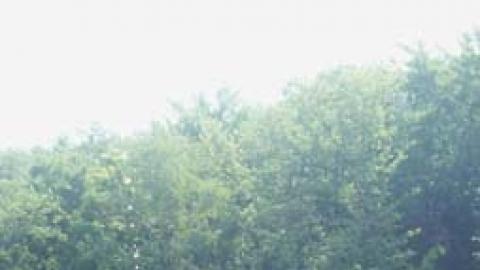 Three youth jump back as a bottle rocket launches into the air leaving a trail of water drops below it.