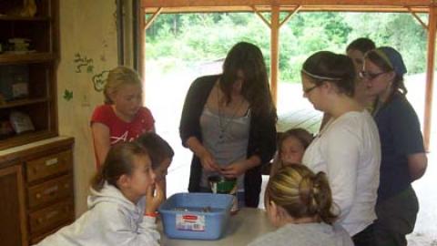 Youth gathered around tub on table as counselor demonstrates.