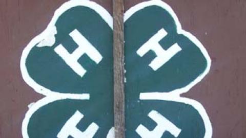 two young smiling children standing in front of the 4-H clover painted on the front of a building.