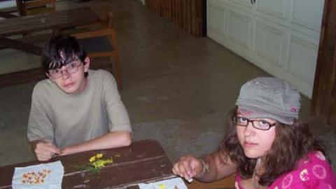 two youth laying out flower petals and leaves on muslin cloth to be hammered in as a nature project called flower pounding
