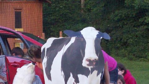 Campers stand behind a card board cow. A camper kisses a stuffed polar bear in the background. 