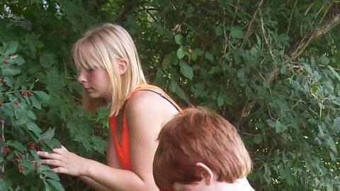 campers identifying plants 