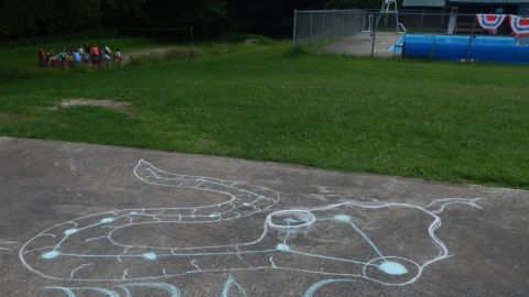 chalk drawing of snake titled "draco" on basketball court.