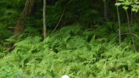Youth reels in a fish that was just caught. 