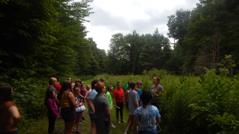 group on a nature hike.