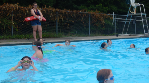 lifeguard watches over a pool with several swimmers.