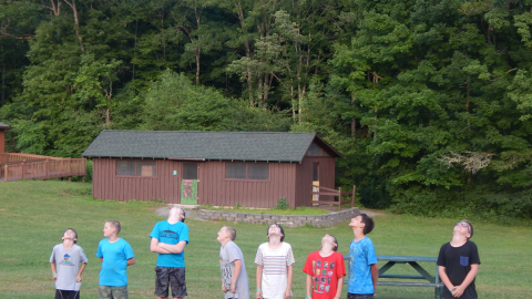 Cabin group standing in a line looking up to the sky.