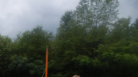 Two youth playing tether ball.