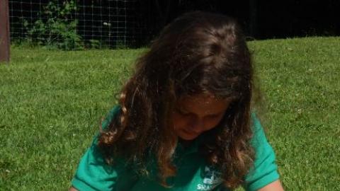 Camper uses a magnifying glass to examine wood. 
