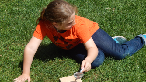 Youth on ground holding a magnifying glass over a piece of wood to channel sun and burn the wood.